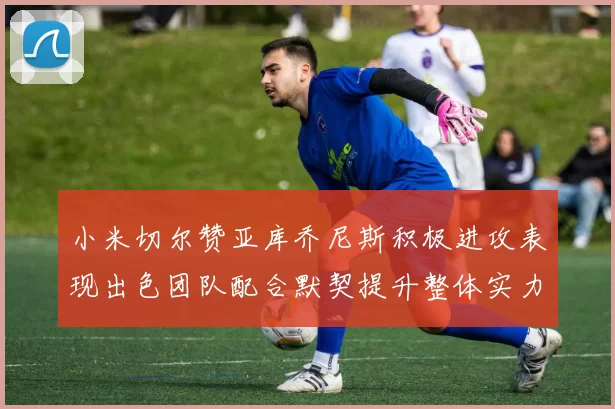 小米切尔赞亚库乔尼斯积极进攻表现出色团队配合默契提升整体实力